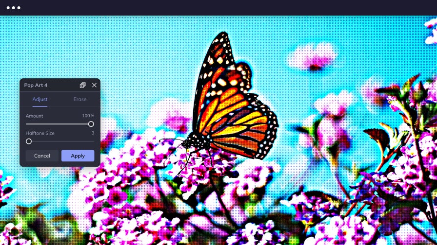 Image of a monarch butterfly sitting on flowers with BeFunky's Pop Art effects applied