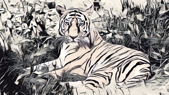 Tiger laying in grass in Inkify DLX style
