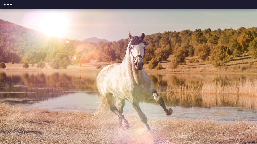 lens flare effect on photo of horse running