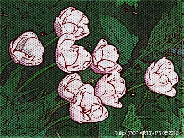 Tulips - Pop Art