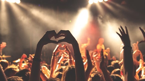 Crowd, Person, Human, Rock Concert, Concert, Bonfire