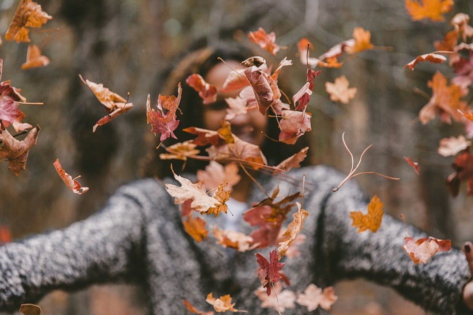 autumn leaves photography