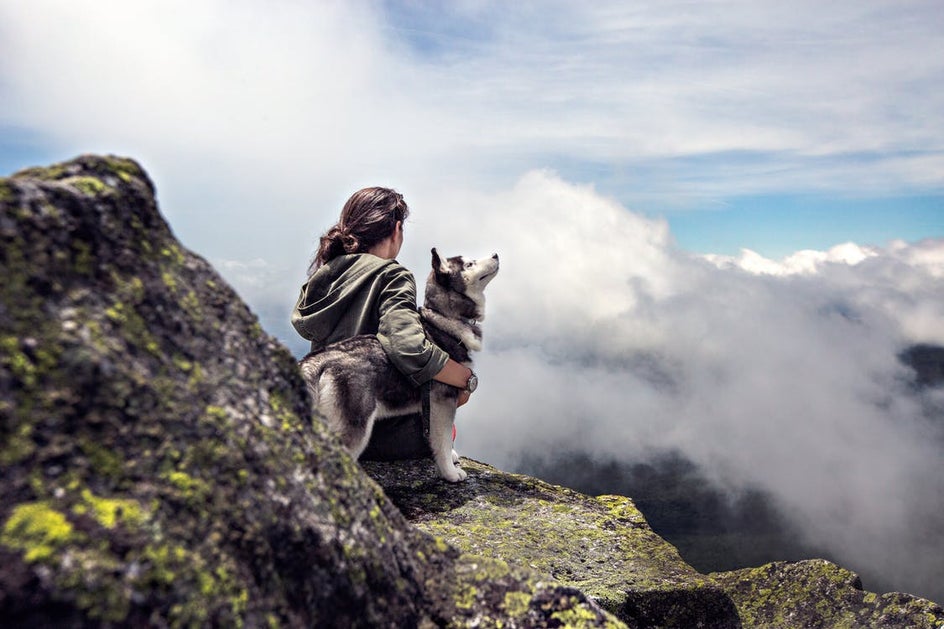 how to take photos of dogs