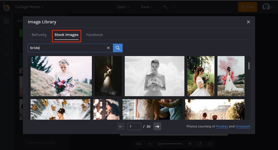 free stock photo library in BeFunky Collage Maker