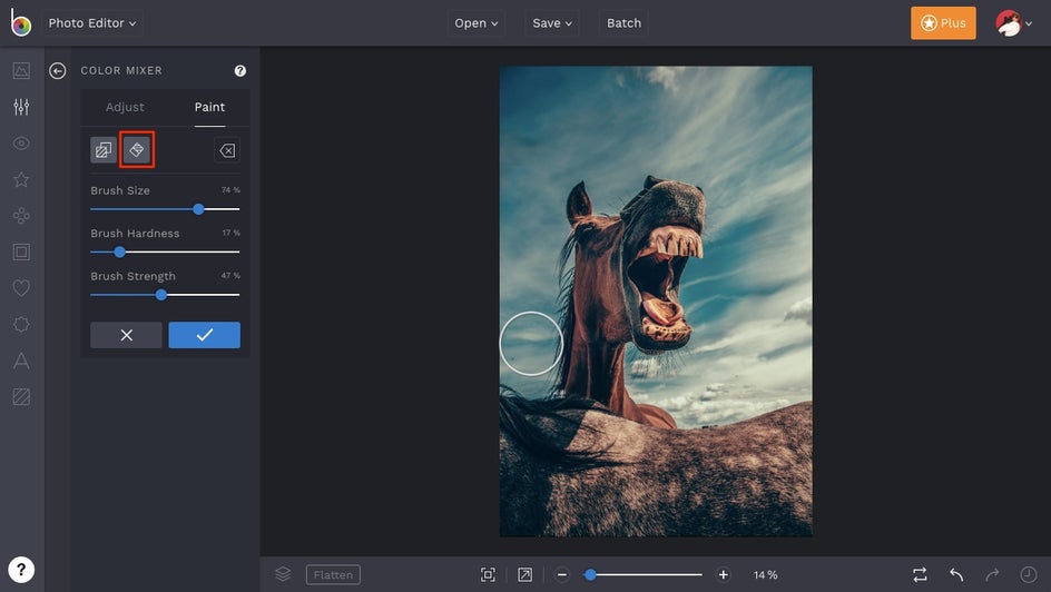 how to edit color selectively in BeFunky Photo Editor