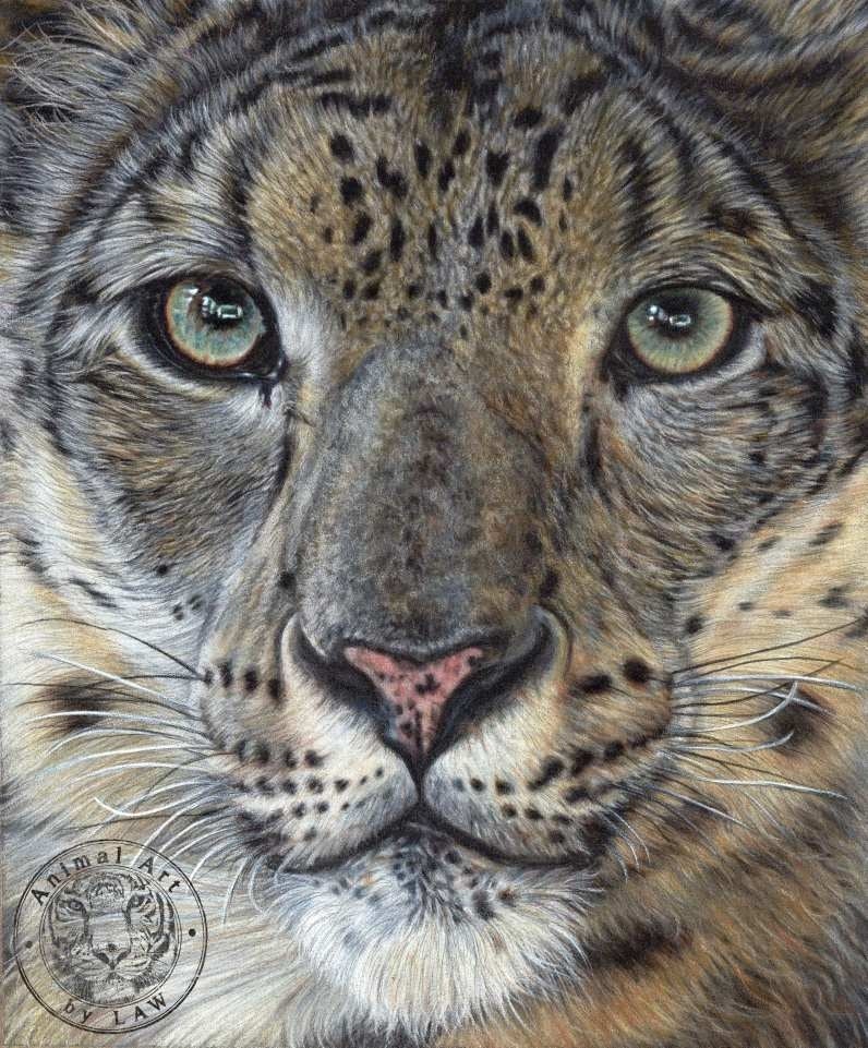 Animal Art by Law Snow Tiger