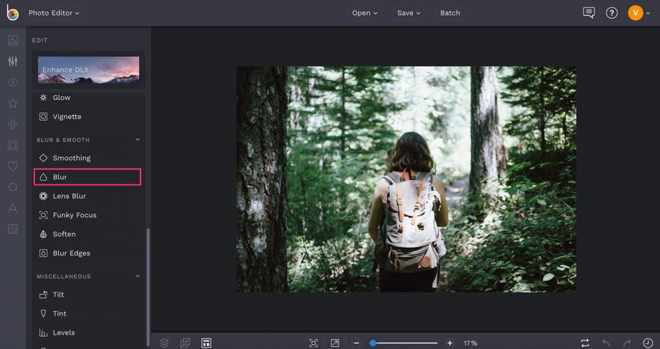how to blur photos in BeFunky