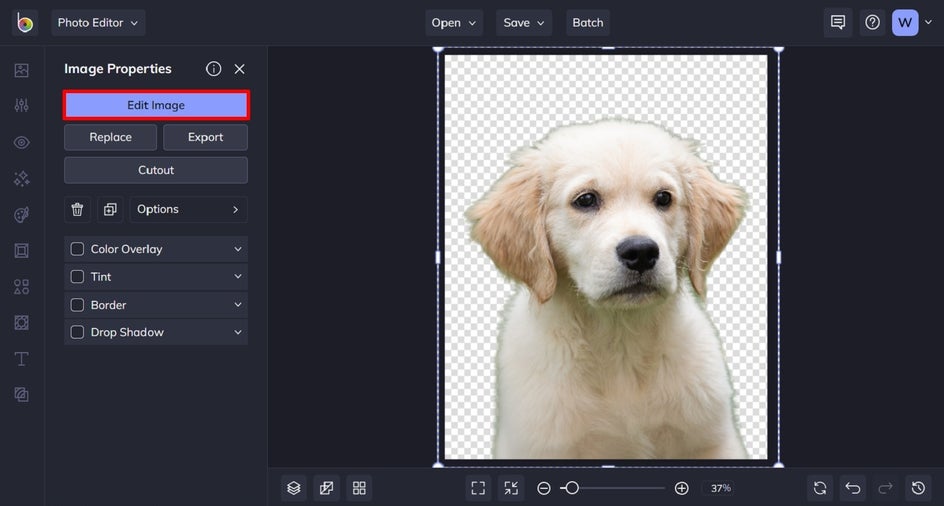 edit the pet photo