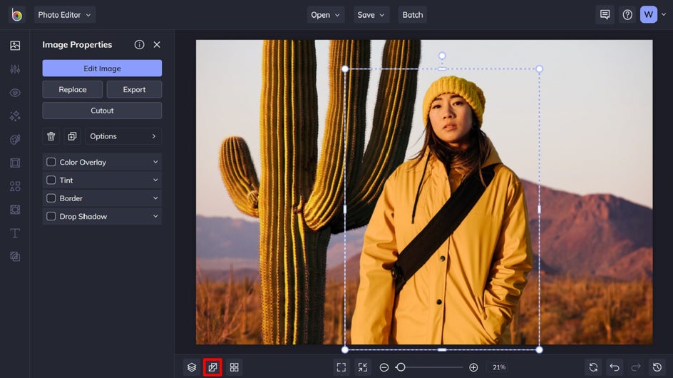 place image and adjust