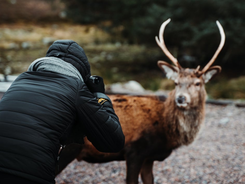 right equipment wildlife photography