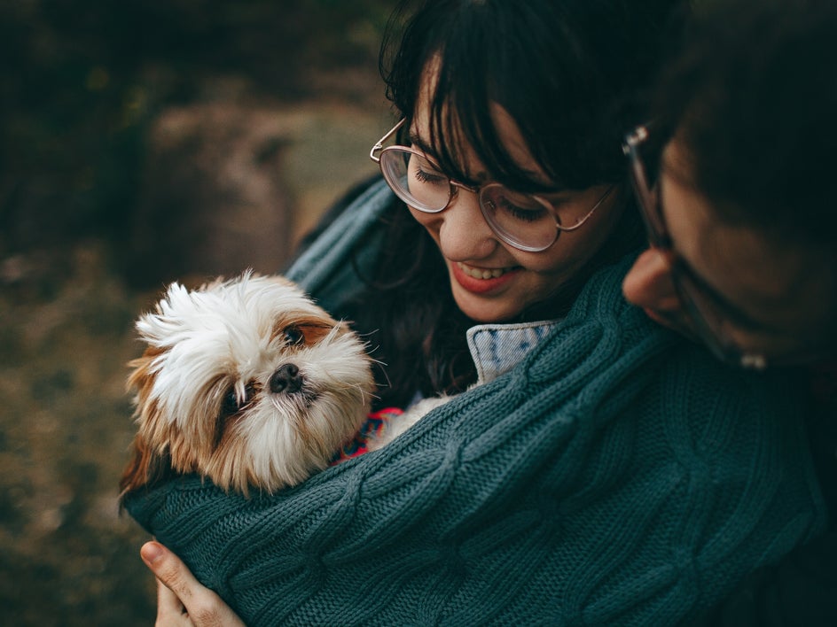 pets for holiday photo tips