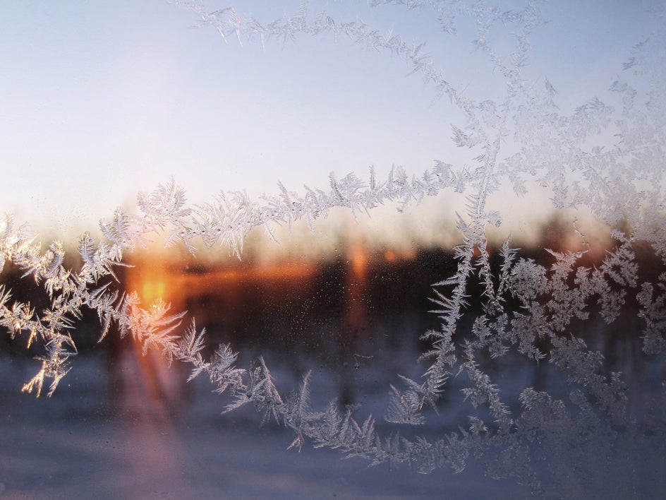 frosted winder winter photography